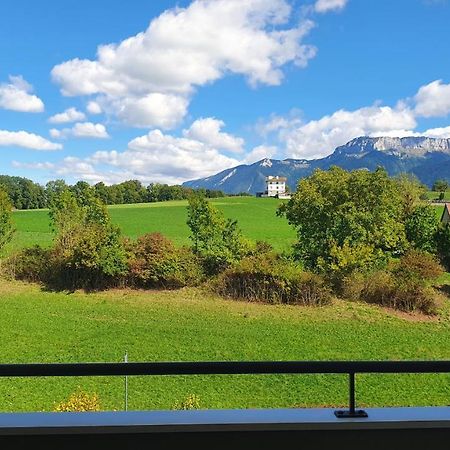 Magnifique Vue Montage Studio Parking Gratuit Apartman Annecy Kültér fotó